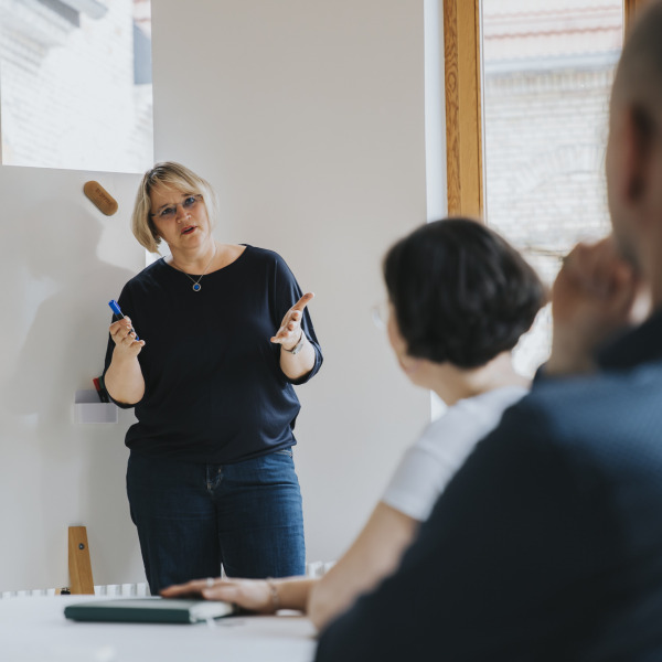 Webinar Selbstführung: Handlungsspielräume gestalten statt mich verbiegen